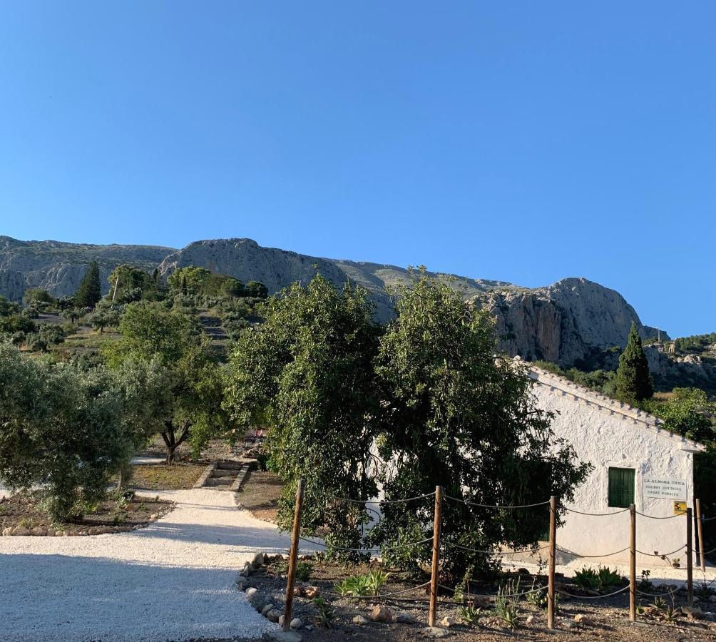 Hostal Casa Anita - La Almona Chica El Chorro Exterior foto